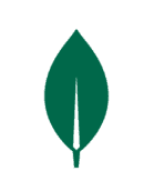 MongoDB Certification – chứng nhận kỹ năng làm việc với cơ sở dữ liệu NoSQL MongoDB